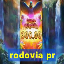 rodovia pr-317 km 155 onde fica